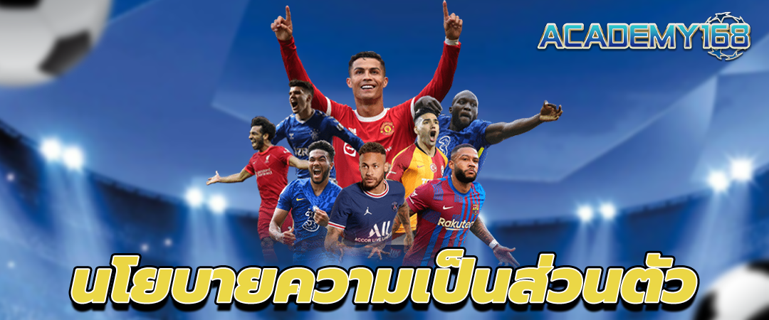 นโยบายความเป็นส่วนตัว